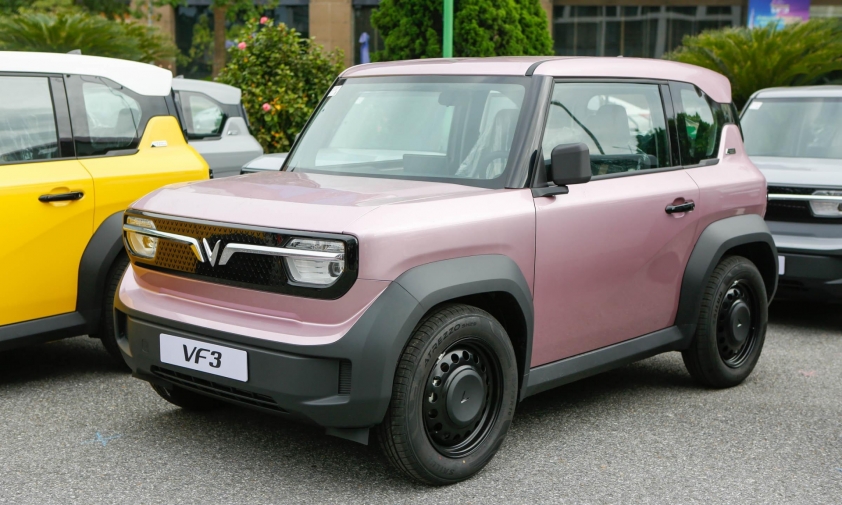 Các mẫu xe điện với doanh số tích cực